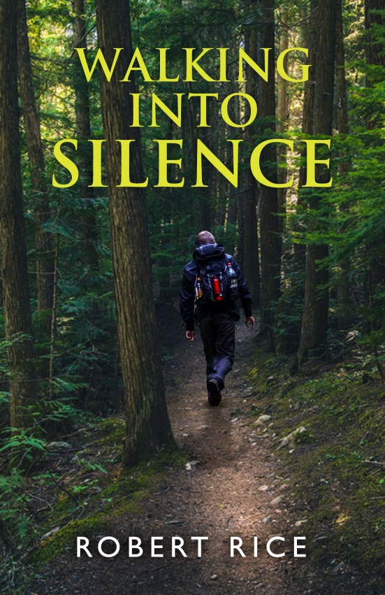 Walking into silence book cover